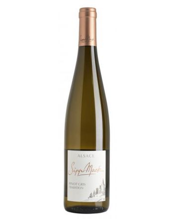 Pinot Gris Tradition 2021 - Sipp-Mack