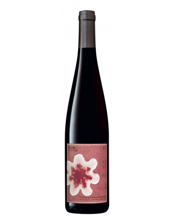 Pinot Noir 2021 - Roland Schmitt