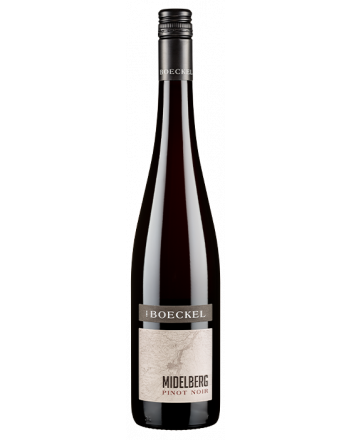 Pinot Noir Midelberg 2020 - Emile Boeckel