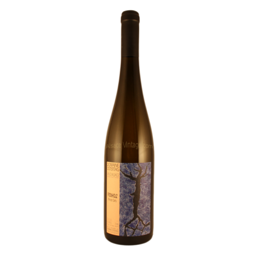 Pinot Gris Fronholz - Ostertag